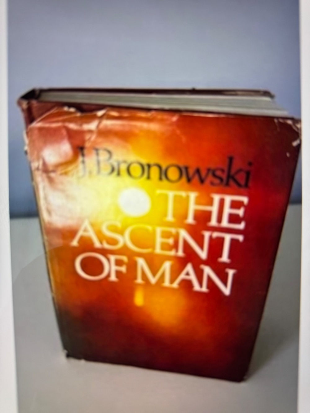 The Ascent Of Man - Picture 7 of 8